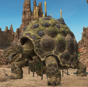 Aspidochelone