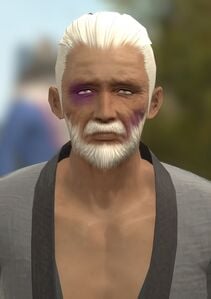Wounded Elder