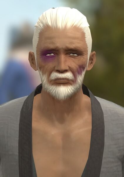 File:Wounded Elder.jpg