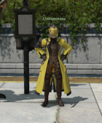 Chocobokeep The Archeion.png