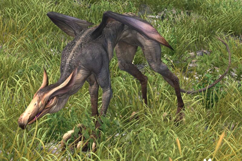 File:Downcast Hippocerf.jpg