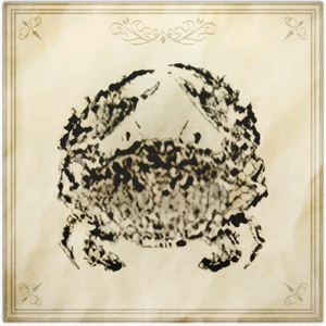 Jacques the Snipper