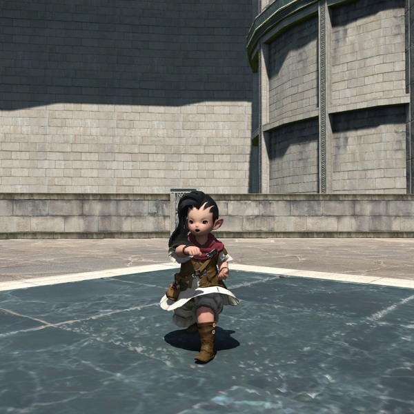 File:Crimson Lotus Emote One.png