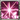 Kasha (PvP)