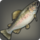 Morsel trout icon1.png