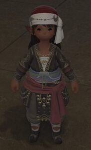 Well-dressed Noblewoman