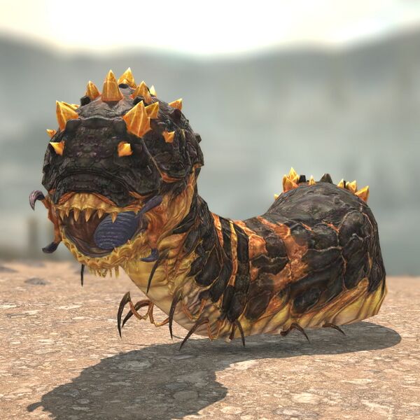 File:Crescent Worm.jpeg