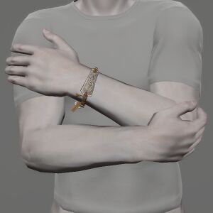 Darbar Bracelet of Fending