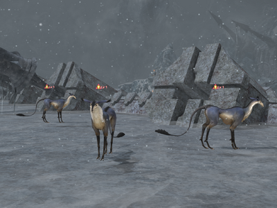 Pack of   at (X:19.3, Y:10.0)