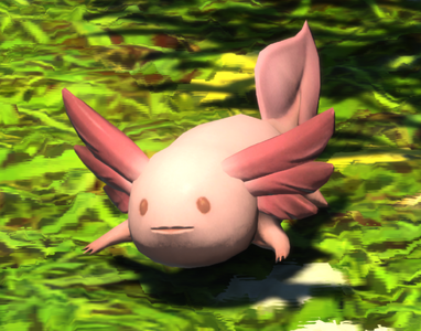 Adventurous Ambystoma