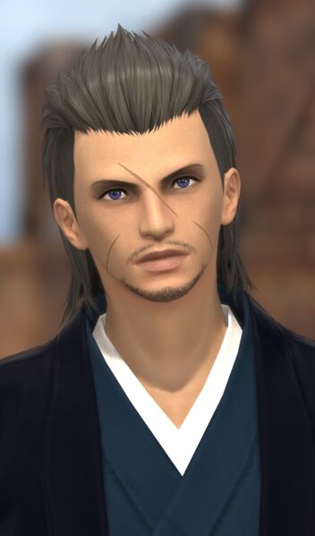 File:Meticulous Merchant.jpg