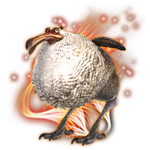 Dodo