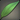 Green Spiral Lupine Leaf