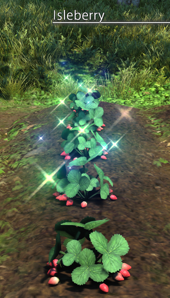 File:Island Berry Mature.png