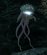 Sea Anemone.png
