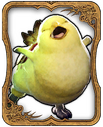 Fat Chocobo Card