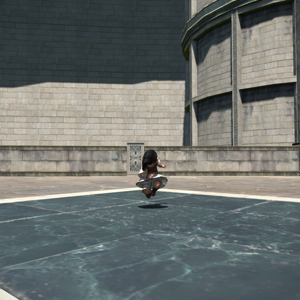 File:Megaflare Emote One.png