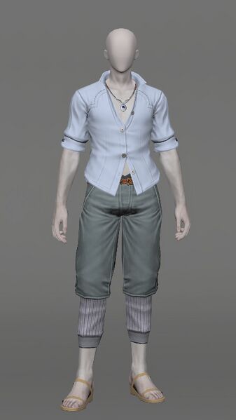 File:Summer Indigo Set Male.jpeg