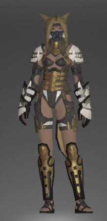 IL 60 Dungeon Armor (Copperbell Hard, Haukke Hard, Pharos Sirius)