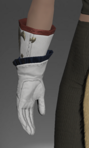 Valkyrie's Gloves of Aiming rear.png