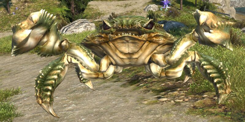 File:Decoy Crab.jpg