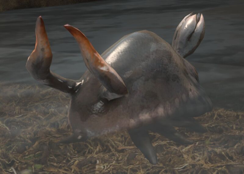 File:Dry Slug.jpg