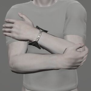 Omicron Bracelet of Fending