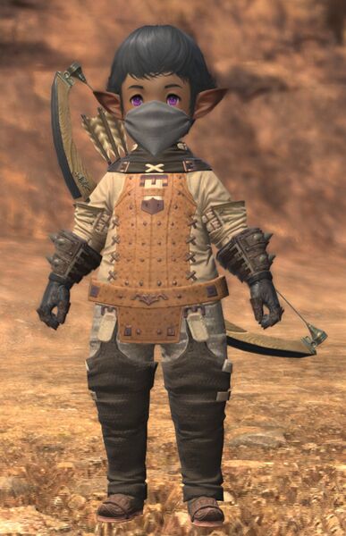 File:Straightshot Assassin.jpg