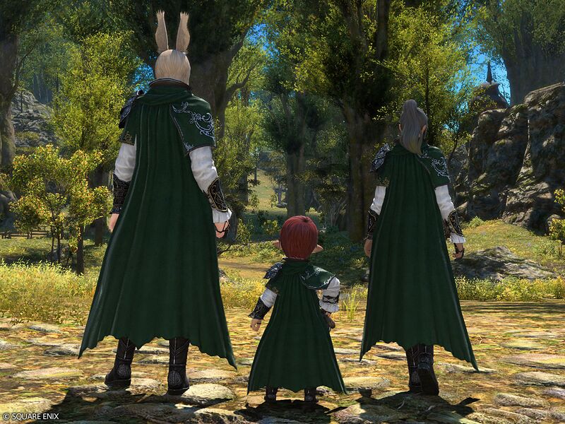 File:Woodland Warden's Attire3.jpg