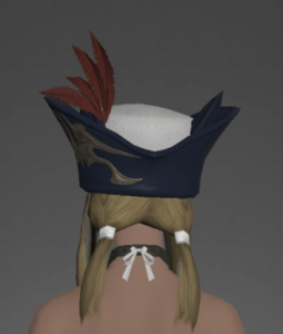 Valkyrie's Tricorne of Aiming rear.png