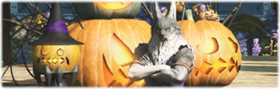 An Othardian Wolfman in Gridania Image.png