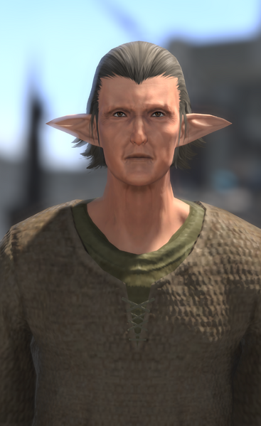 File:Fury-Fearing Elezen 1.png