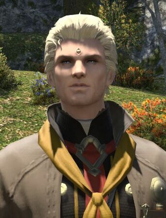 In-game appearance during the Crystal Tower quests