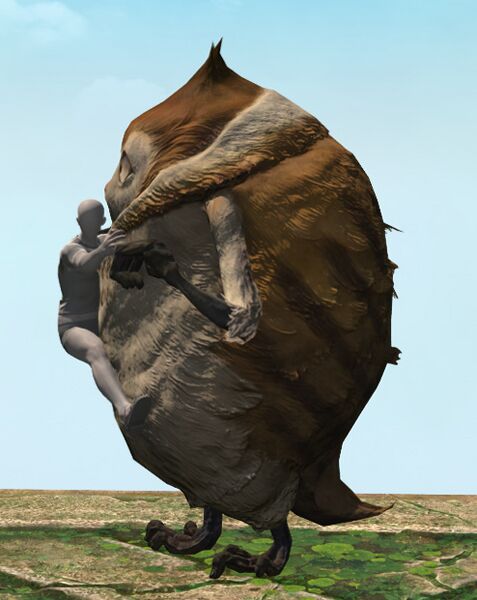 File:Papa Paissa side.jpg