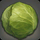 Island Cabbage