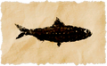 Thumbnail for version as of 17:12, 28 April 2026