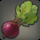 Island Beet