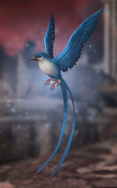 File:Meteion Bird.jpg