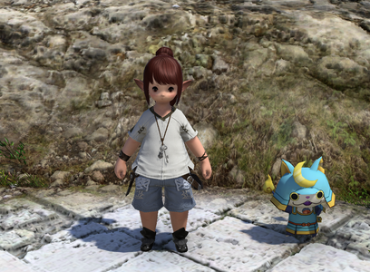 Minion Enthusiast