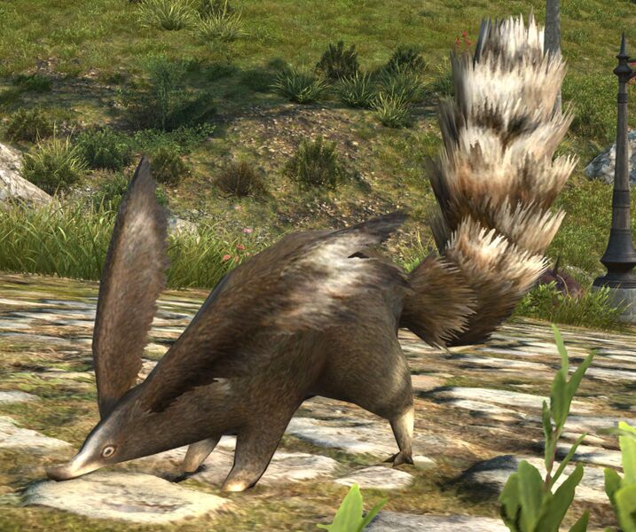 File:Pack Rat.jpg