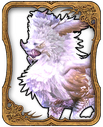 Rukhkh Card