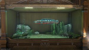 A Giant Snakehead in a Tier 4 Aquarium.