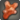 Red sky coral icon1.png
