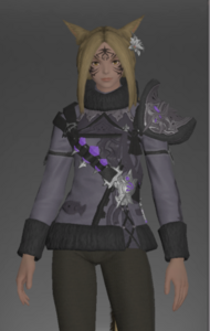 Void Ark Jacket of Aiming front.png