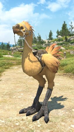 Undyed, Desert Yellow