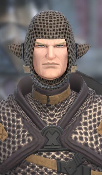 File:House Durendaire Knight.jpg
