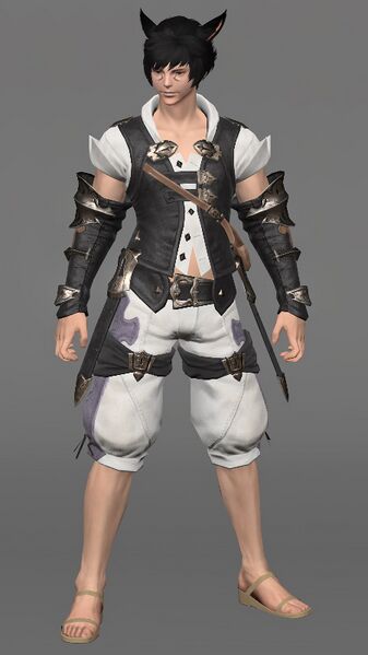 File:Miqo'te Attire M Male.jpeg