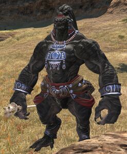 Blackstake Rodegg Chah