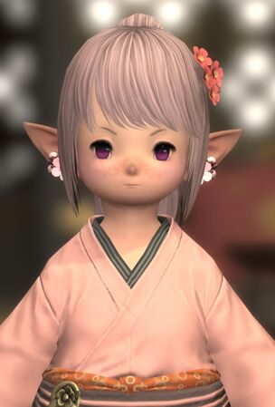 Portrait for Stormblood Outfit