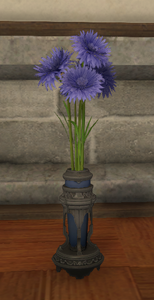 Blue Cornflowers